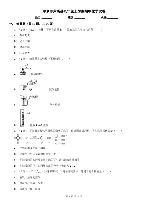 萍乡市芦溪县九年级上学期期中化学试卷