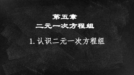 认识二元一次方程组