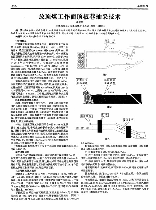 放顶煤工作面顶板巷抽采技术