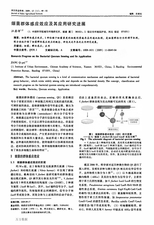 细菌群体感应效应及其应用研究进展