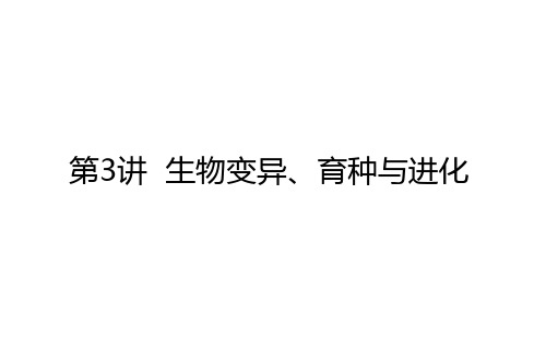 2021高考生物二轮专题复习【统考版】课件：4.3 生物变异、育种与进化