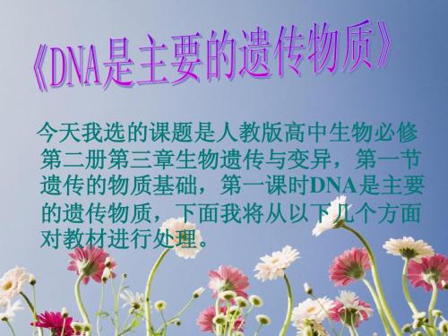 人教版教学课件《DNA是主要的遗传物质》说课课件设计