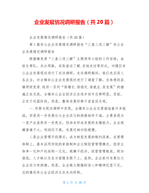 企业发展情况调研报告(共20篇)