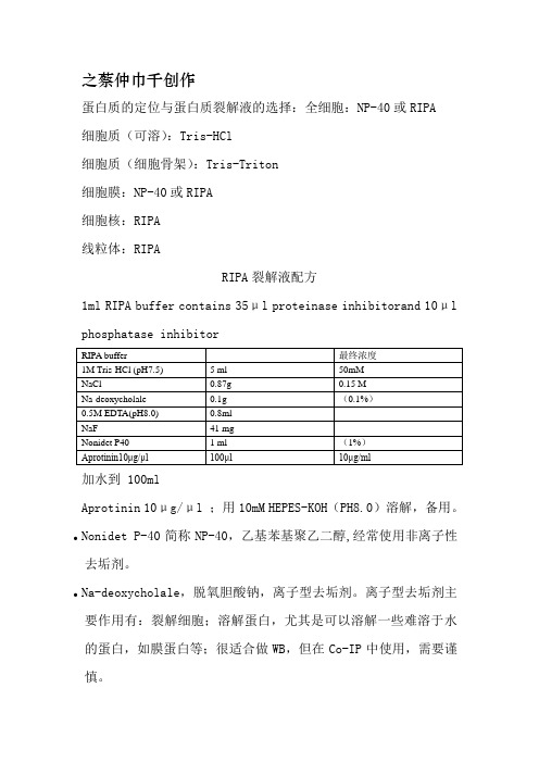 蛋白裂解液