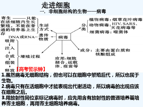 高考生物一轮复习 走近细胞课件