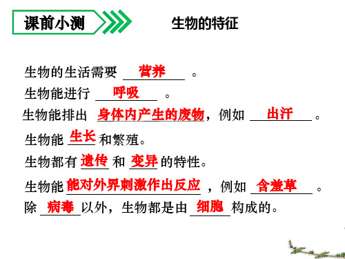 人教版生物七年级上册：第一单元第二章第一节生物与环境的关系