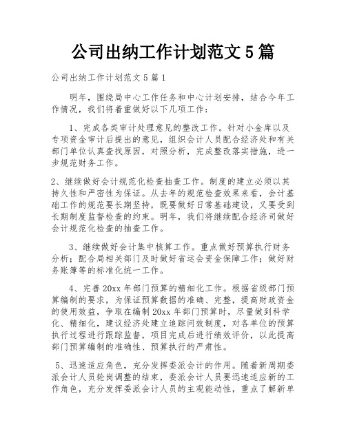 公司出纳工作计划范文5篇