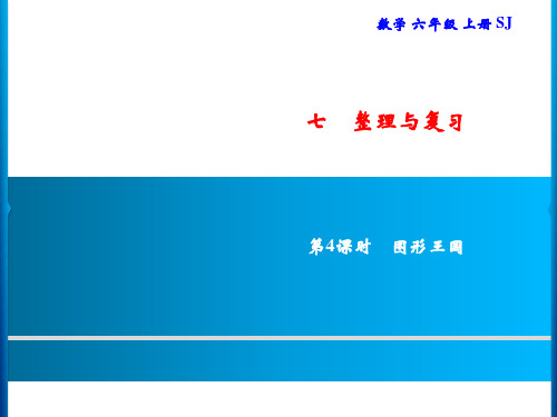 六年级上册数学习题课件-7 第4课时 图形王国｜苏教版(共9张PPT)