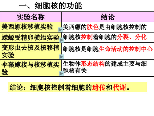 克隆羊多莉的产生的过程17页PPT