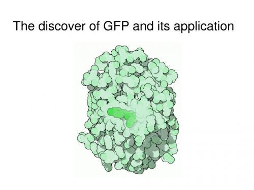 GFP