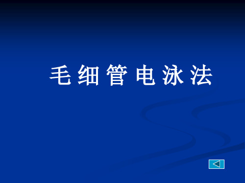 仪器分析：毛细管电泳法