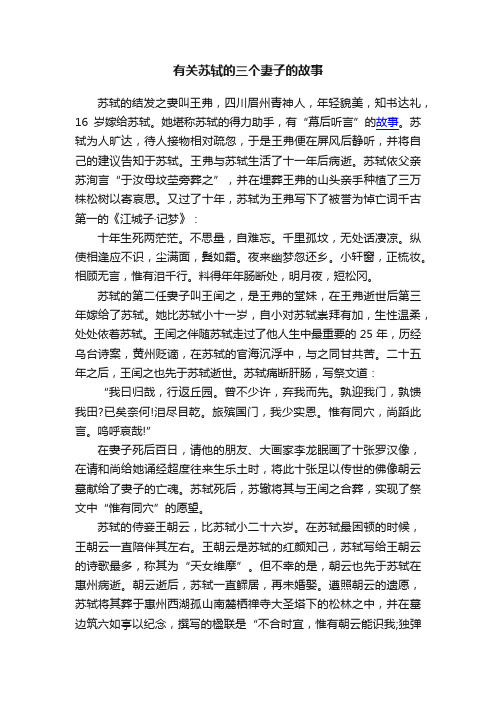 有关苏轼的三个妻子的故事