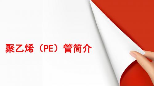 E管简介PPT课件