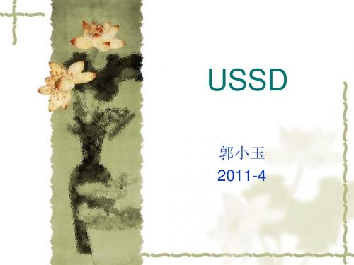 USSD学习资料