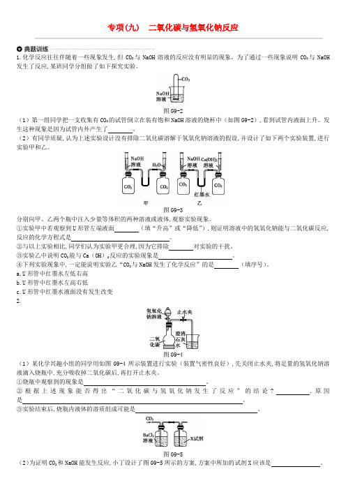 【精品】中考化学复习：专项九 二氧化碳与氢氧化钠反应习题(含答案)