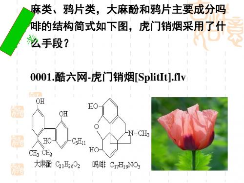 化学课件《酚》优秀ppt 人教课标版