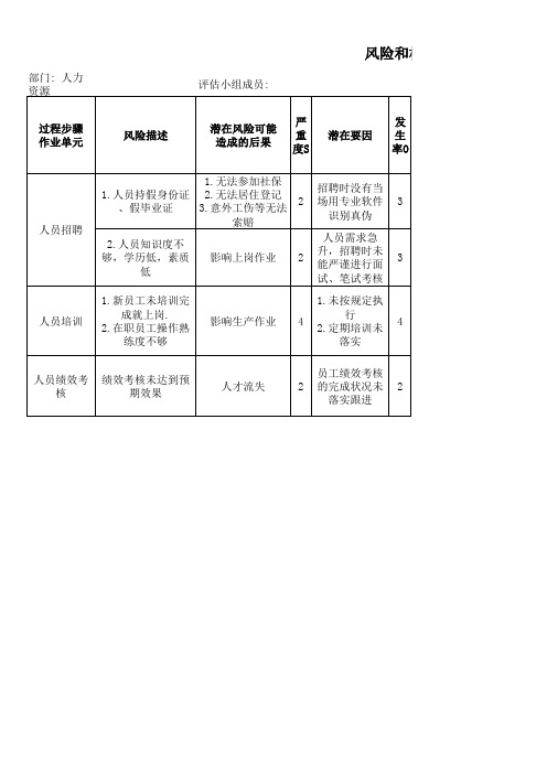 风险和机遇评估分析表-人力资源