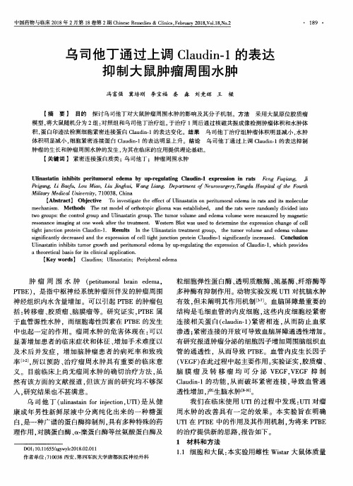 乌司他丁通过上调Claudin-1的表达抑制大鼠肿瘤周围水肿