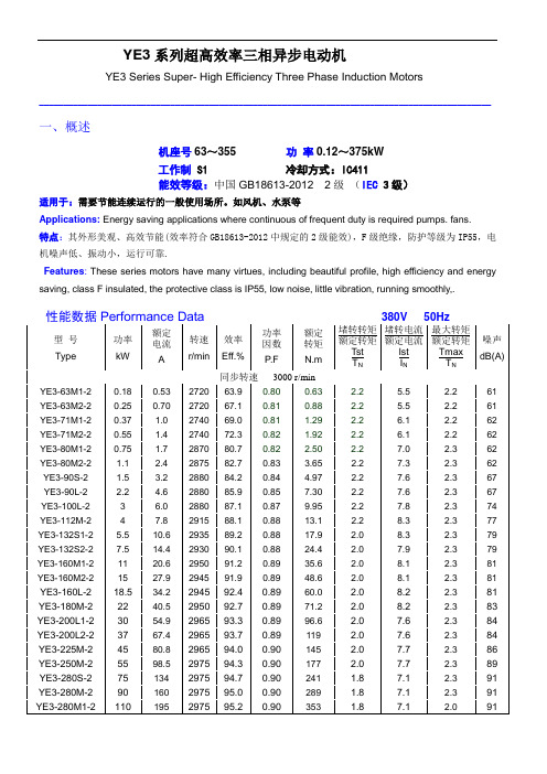 YE3系列高效节能电机