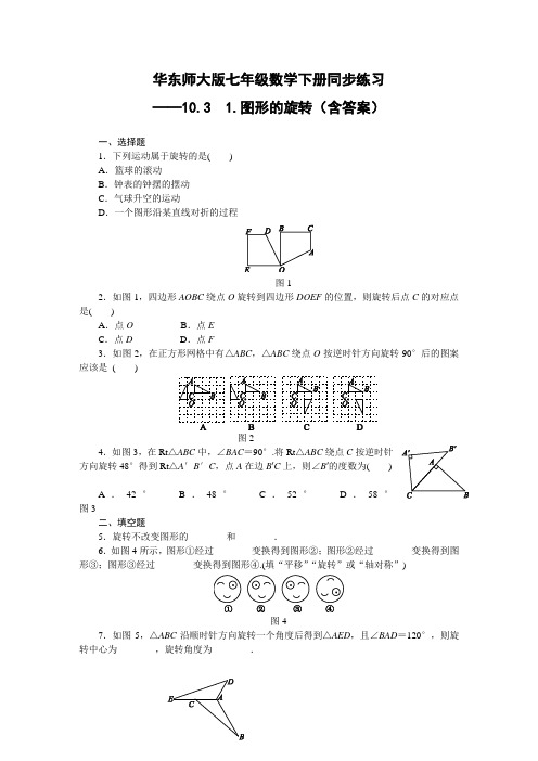 华东师大版七年级数学下册同步练习 ——10.3 1.图形的旋转(含答案)