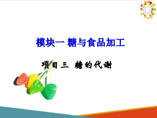 糖—糖的代谢(食品生物化学课件)