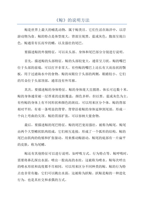 《鲸》的说明方法