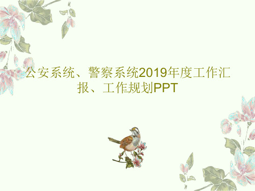 公安系统、警察系统2019年度工作汇报、工作规划PPT共44页文档