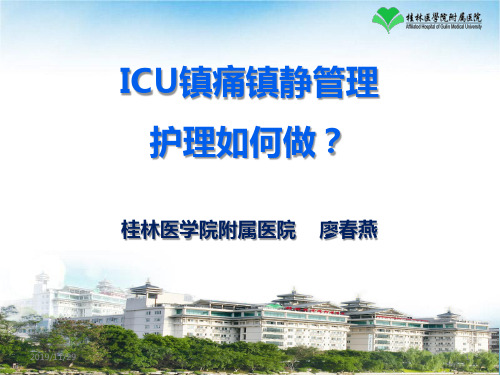镇痛镇静管理-LCYPPT课件