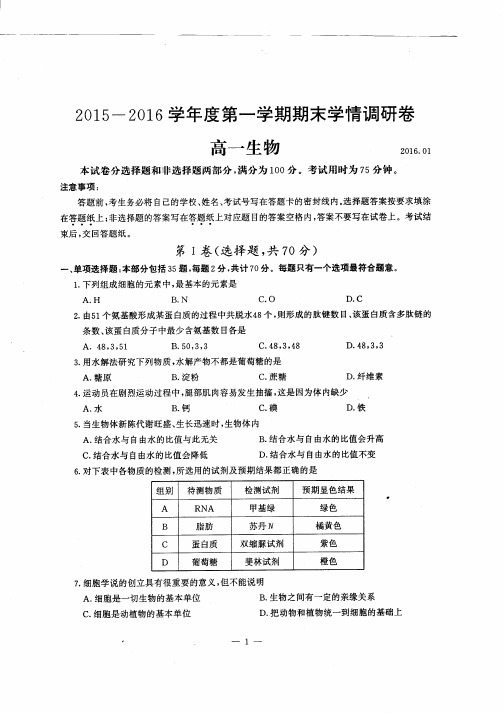 南京市2015-2016学年度第一学期期末学情调研卷