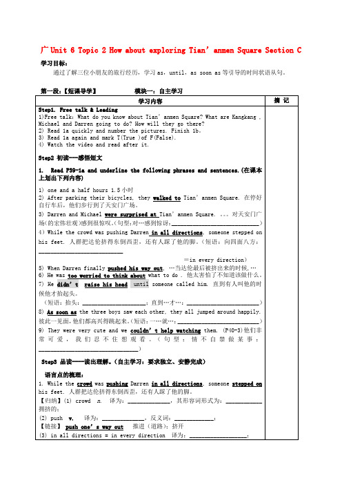 广东省河源中国教育学会中英文实验学校八年级英语下册 Unit 6 Topic 2 How abo