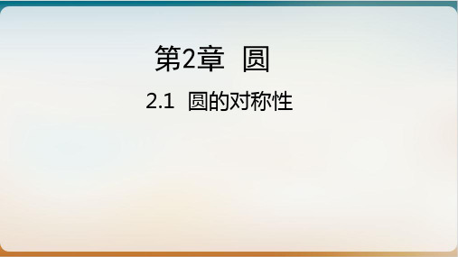 初中数学《圆的对称性》实用ppt北师大版1