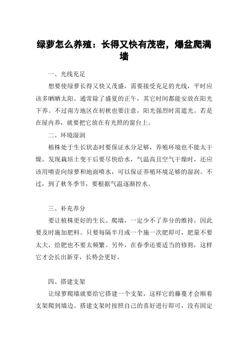 绿萝怎么养殖：长得又快有茂密,爆盆爬满墙