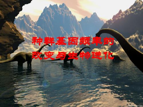 种群基因频率的改变与生物进化ppt1 精品课件