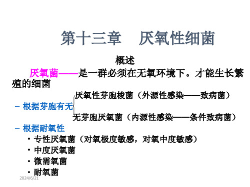 微生物厌氧性细菌