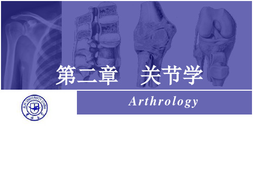 人体解剖学课件:关节学