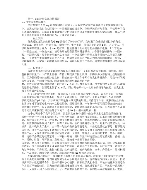 ERP沙盘实训报告总结