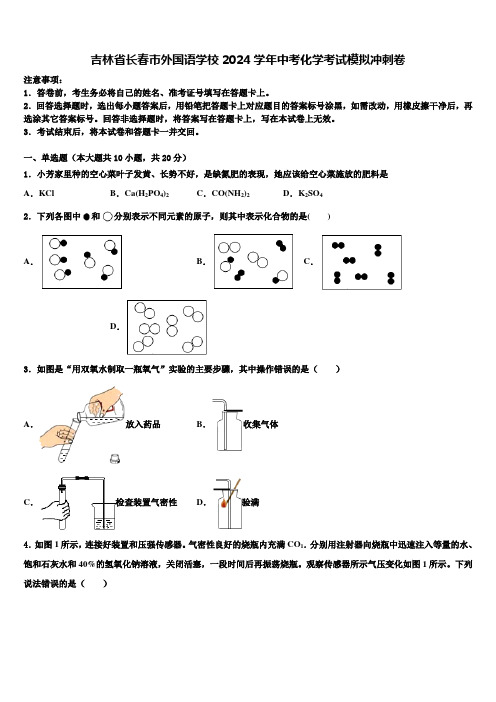 吉林省长春市外国语学校2024届中考化学考试模拟冲刺卷含解析