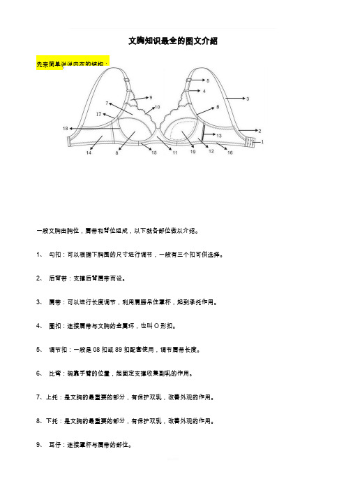 文胸知识最全的图文介绍