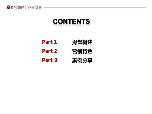 20130104保利国际广场写字楼操盘经验分享