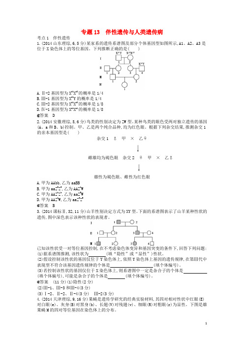 高考真题分类汇编 专题13 伴性遗传与人类遗传病