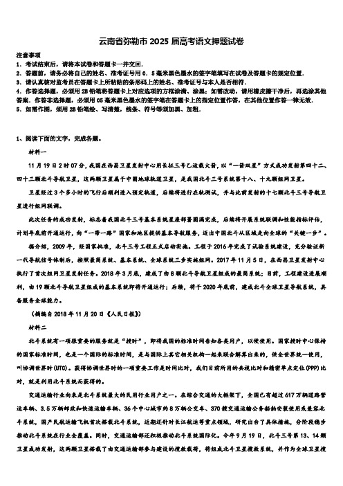 云南省弥勒市2025届高考语文押题试卷含解析