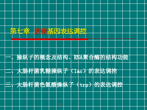 分子遗传学7 原核基因表达调控