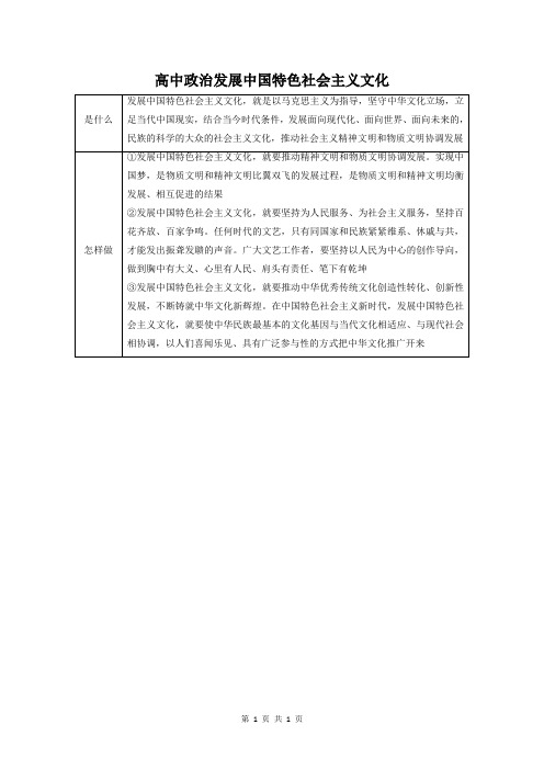 高中政治：发展中国特色社会主义文化