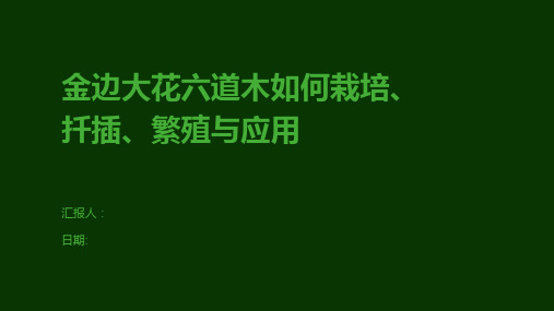 金边大花六道木如何栽培、扦插、繁殖与应用