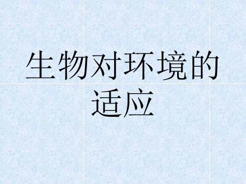 生物与非生物环境的关系