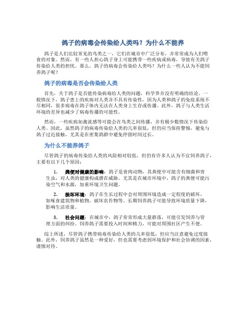 鸽子的病毒会传染给人类吗为什么不能养