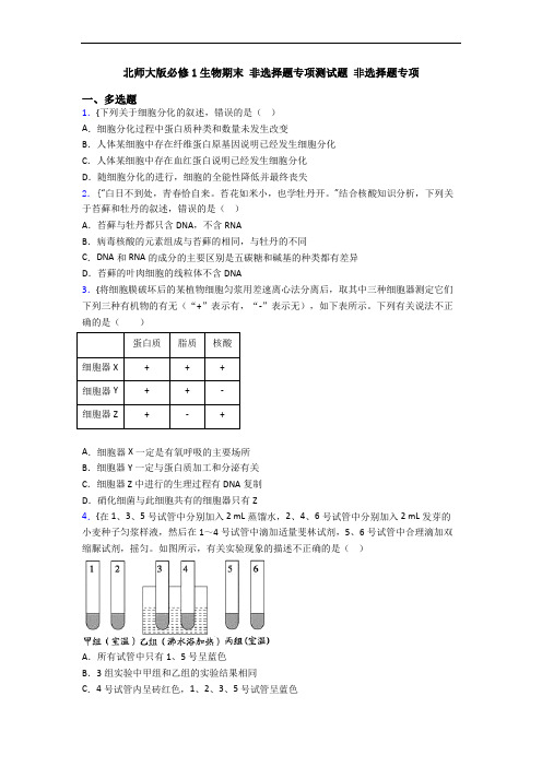 北师大版必修1生物期末 非选择题专项测试题 非选择题专项