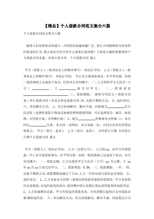 【精品】个人借款合同范文集合六篇