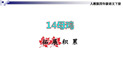 部编人教版四年级语文下册 14.母鸡拓展积累课件