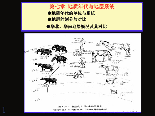 第七章  地质年代与地层系统